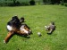 6.6.2010 013.jpg