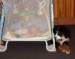 foto 011.jpg