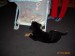 foto 007.jpg