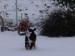 IMG_12441.jpg