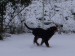 IMG_1242.JPG